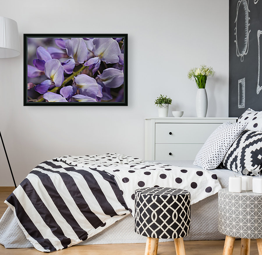 Wisteria Purples Reproduction