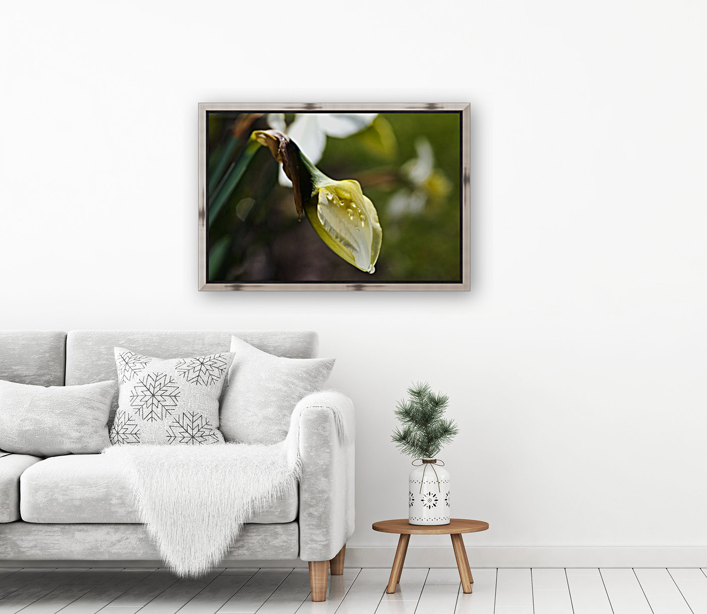 Daffodil Bud Reproduction