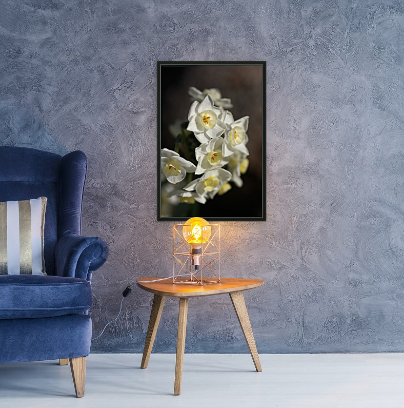 Jonquils Romance Reproduction