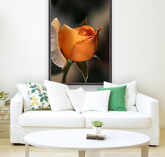 Romance Orange Rose Reproduction
