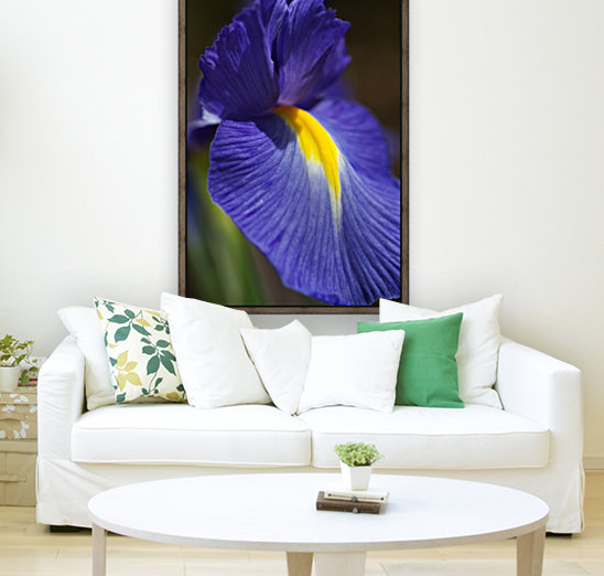 Purple Iris Lush Reproduction