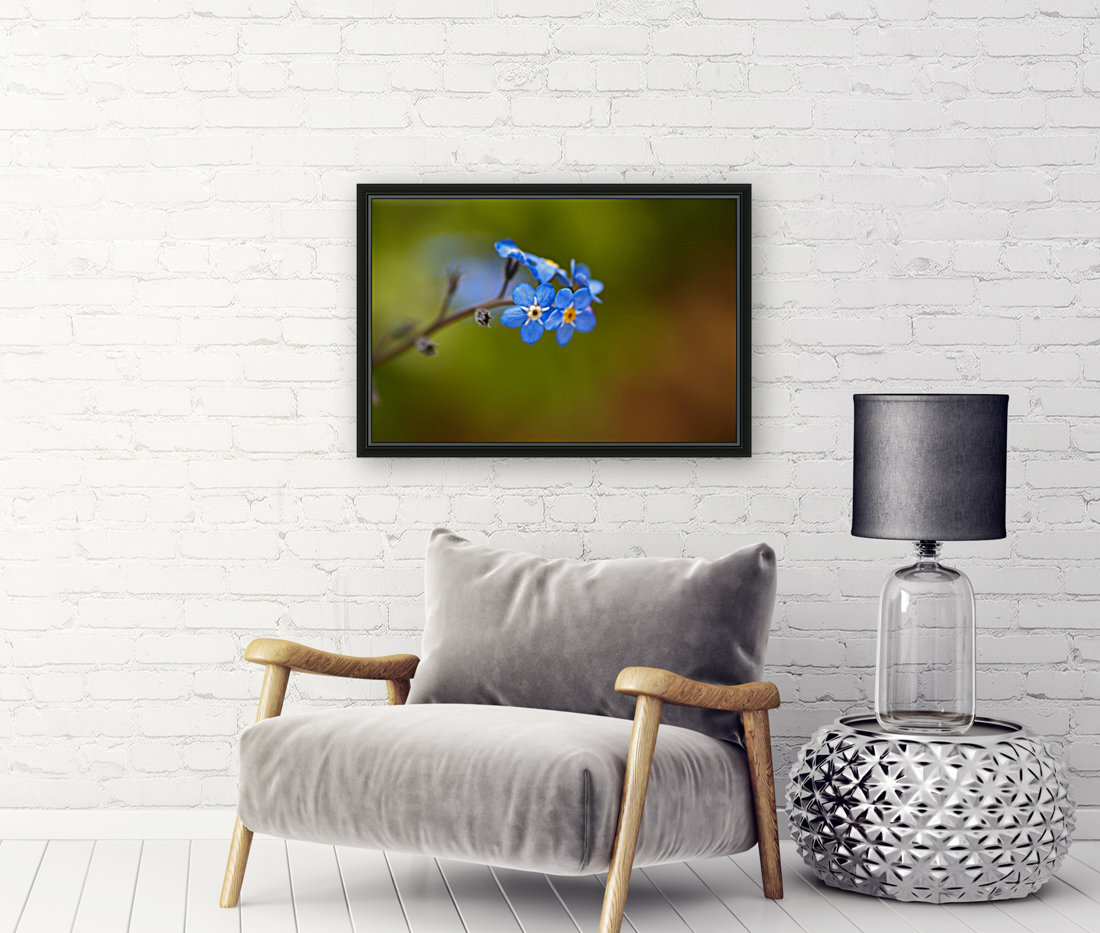 Forget Me Not Reproduction