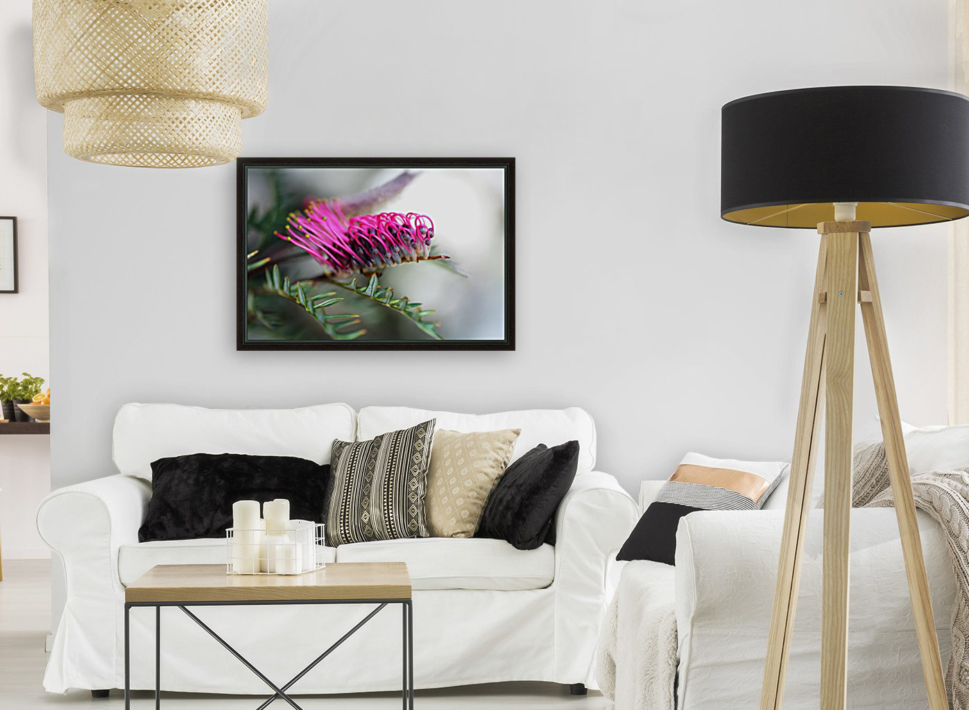 Grevillea In Pink Reproduction