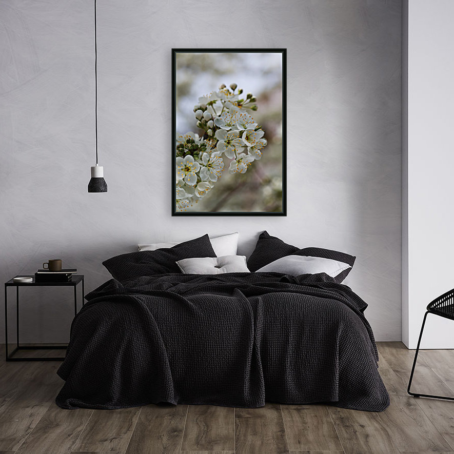 White Blossom Reproduction