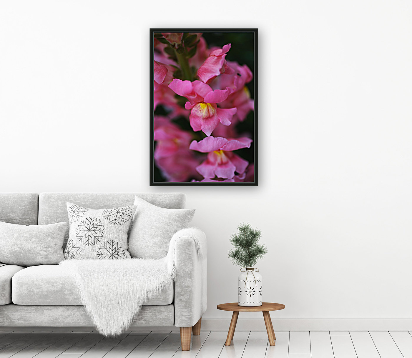 Snapdragon Flowers Reproduction