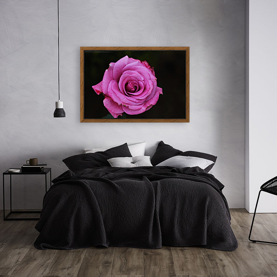 Divine Pink Rose Reproduction
