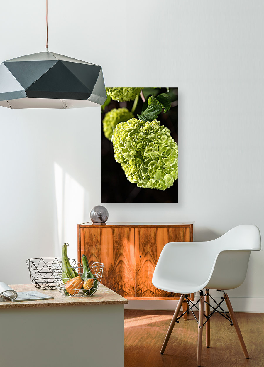 Green Snowball Flowers Reproduction