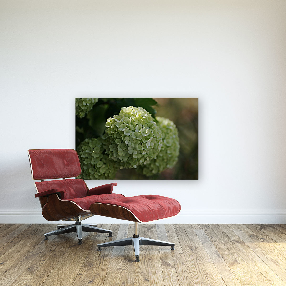 The Snowball Flower Reproduction
