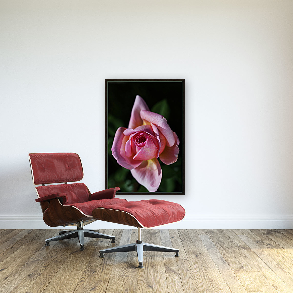 Double Pointed Pink Rose Reproduction