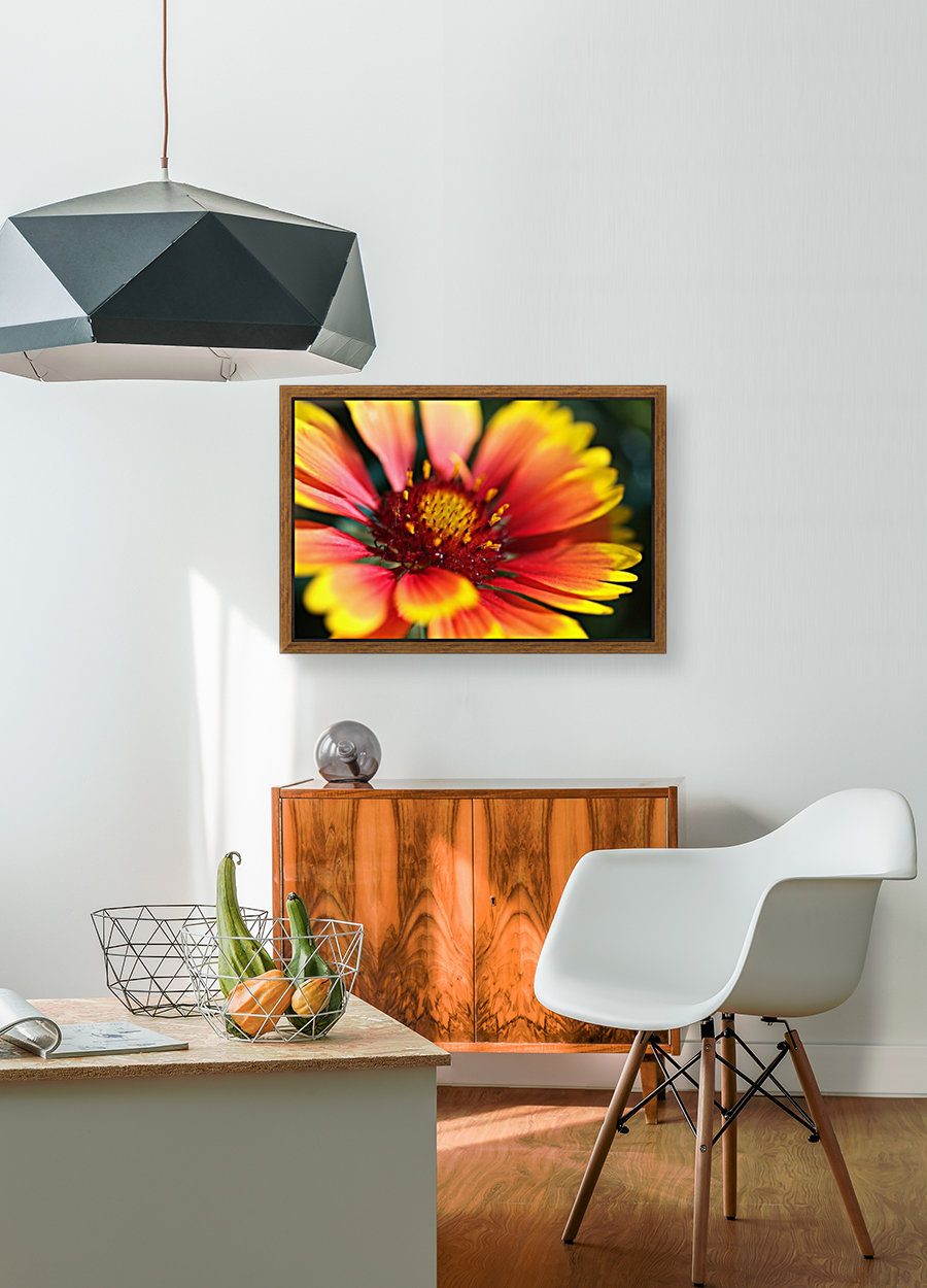  Blanket Flower Reproduction