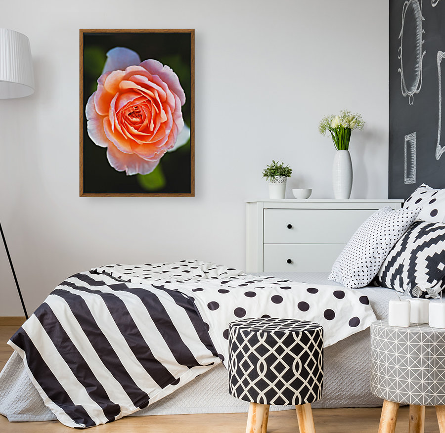 Bold Orange Rose Reproduction