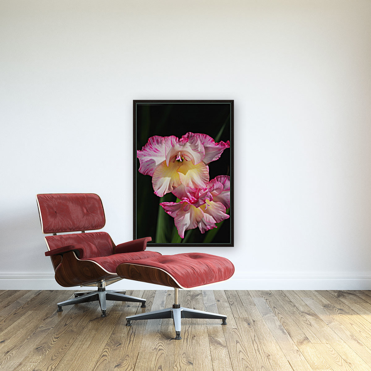 Gladiolus Seeing Double  Reproduction