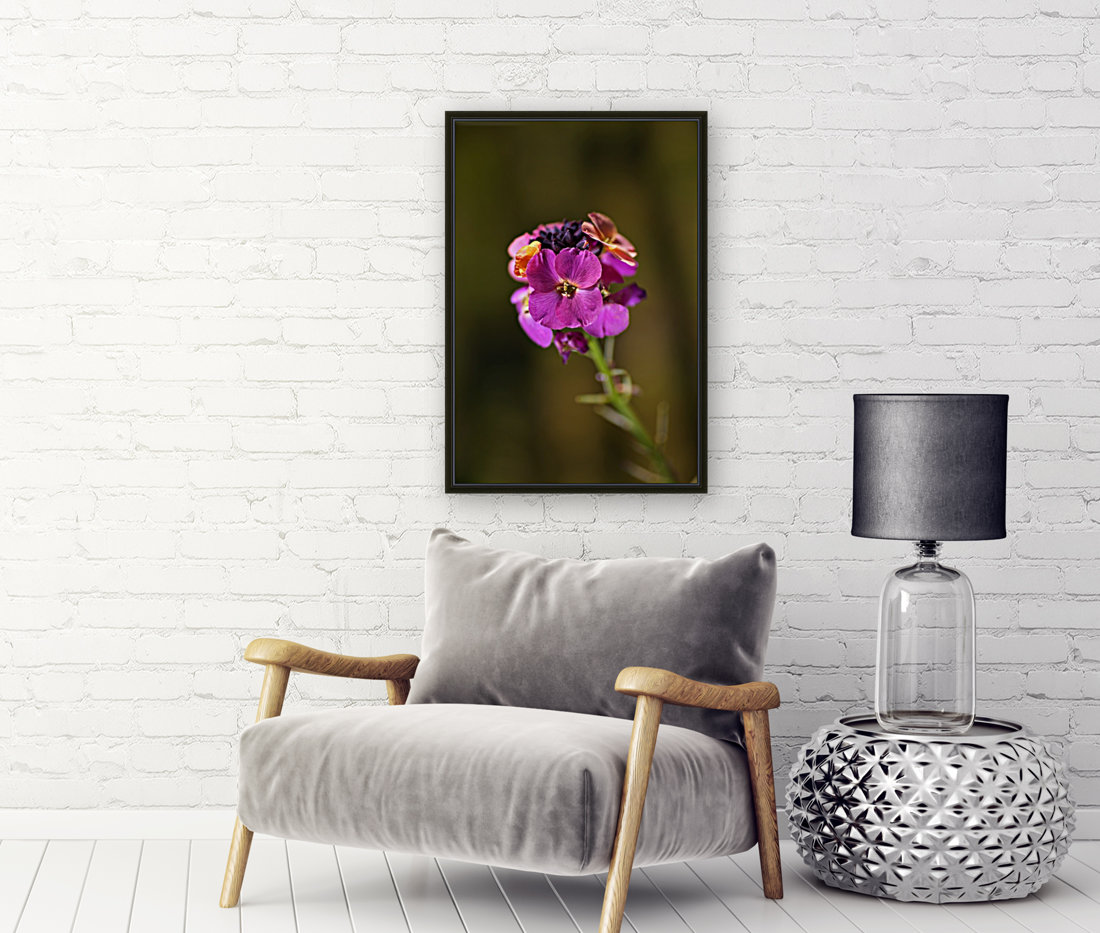 Wallflower Palette  Reproduction