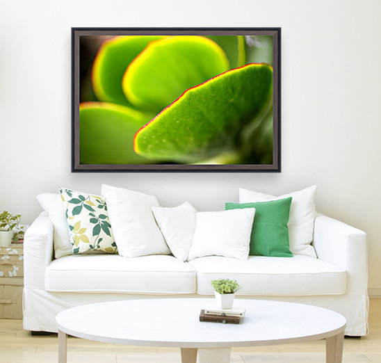 Bright Succulent World Reproduction