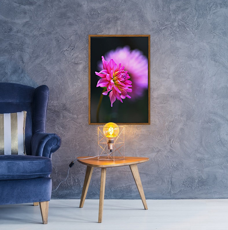 Dahlia on A Cloud Reproduction