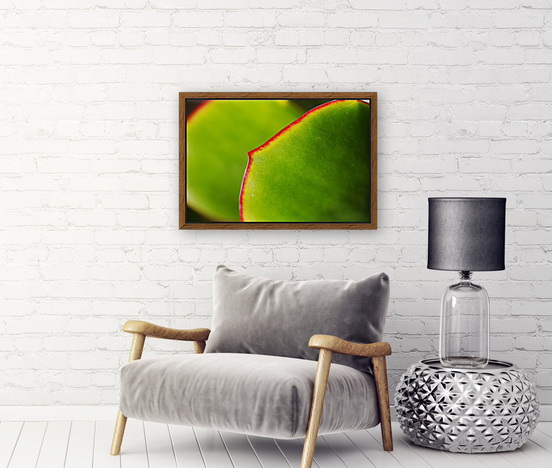 Succulent Leaves Reproduction