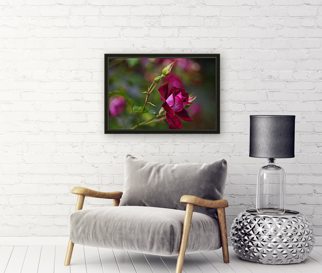 Rose Bud Pink Reproduction