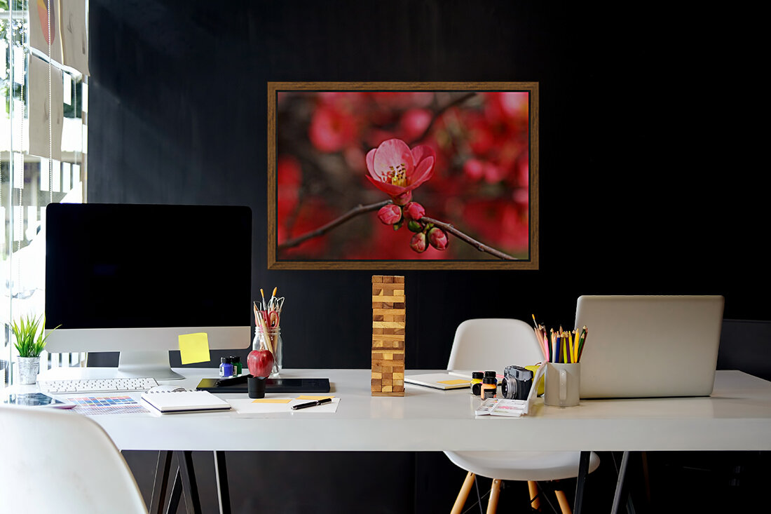 Bright Quince Spring Reproduction