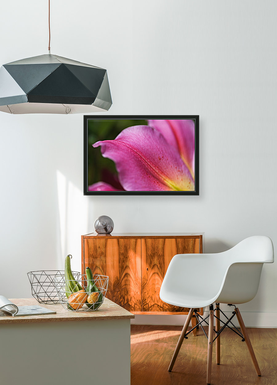 Reaching Lily Petals Reproduction