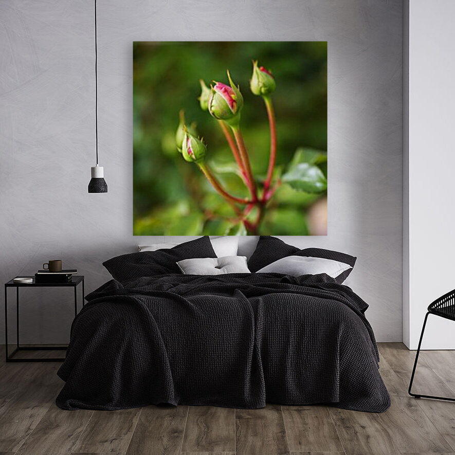 Many Rose Buds Reproduction