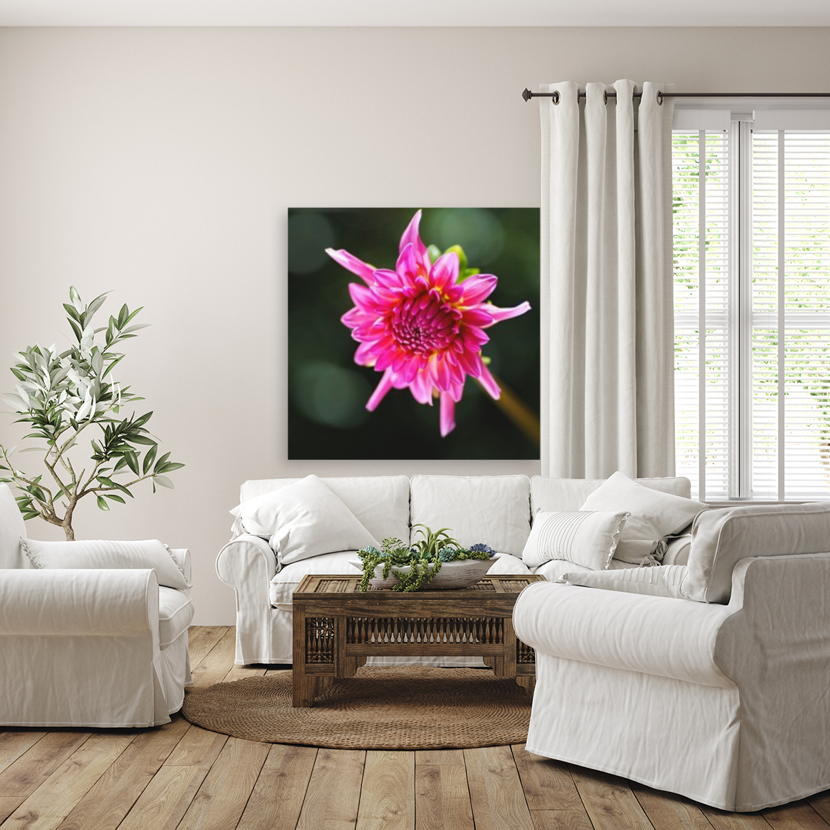 Dahlias Eye Reproduction