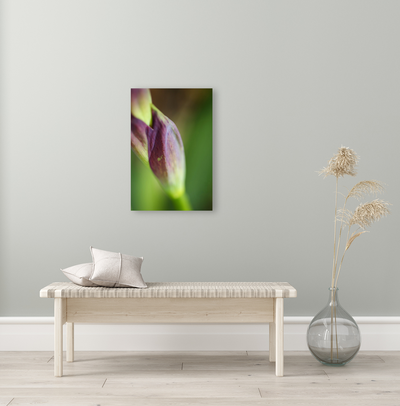 Purple Iris The Stem Reproduction