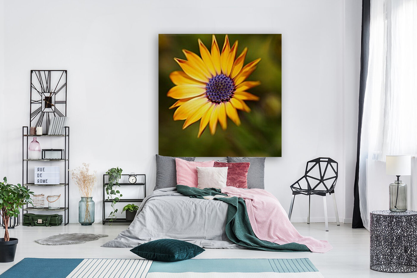 The African Daisy  Reproduction
