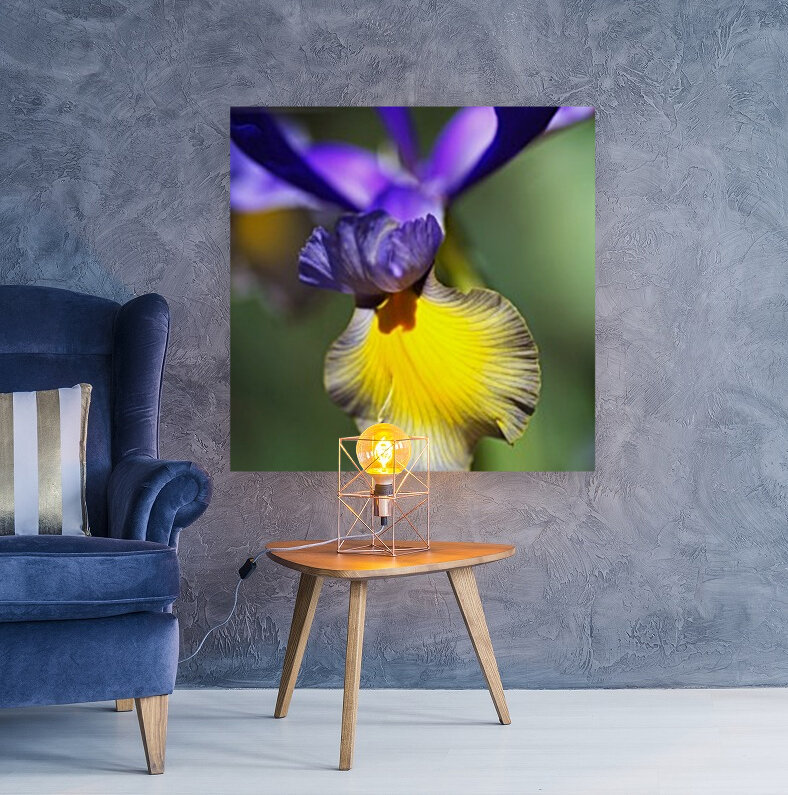 The Dancing Iris Reproduction