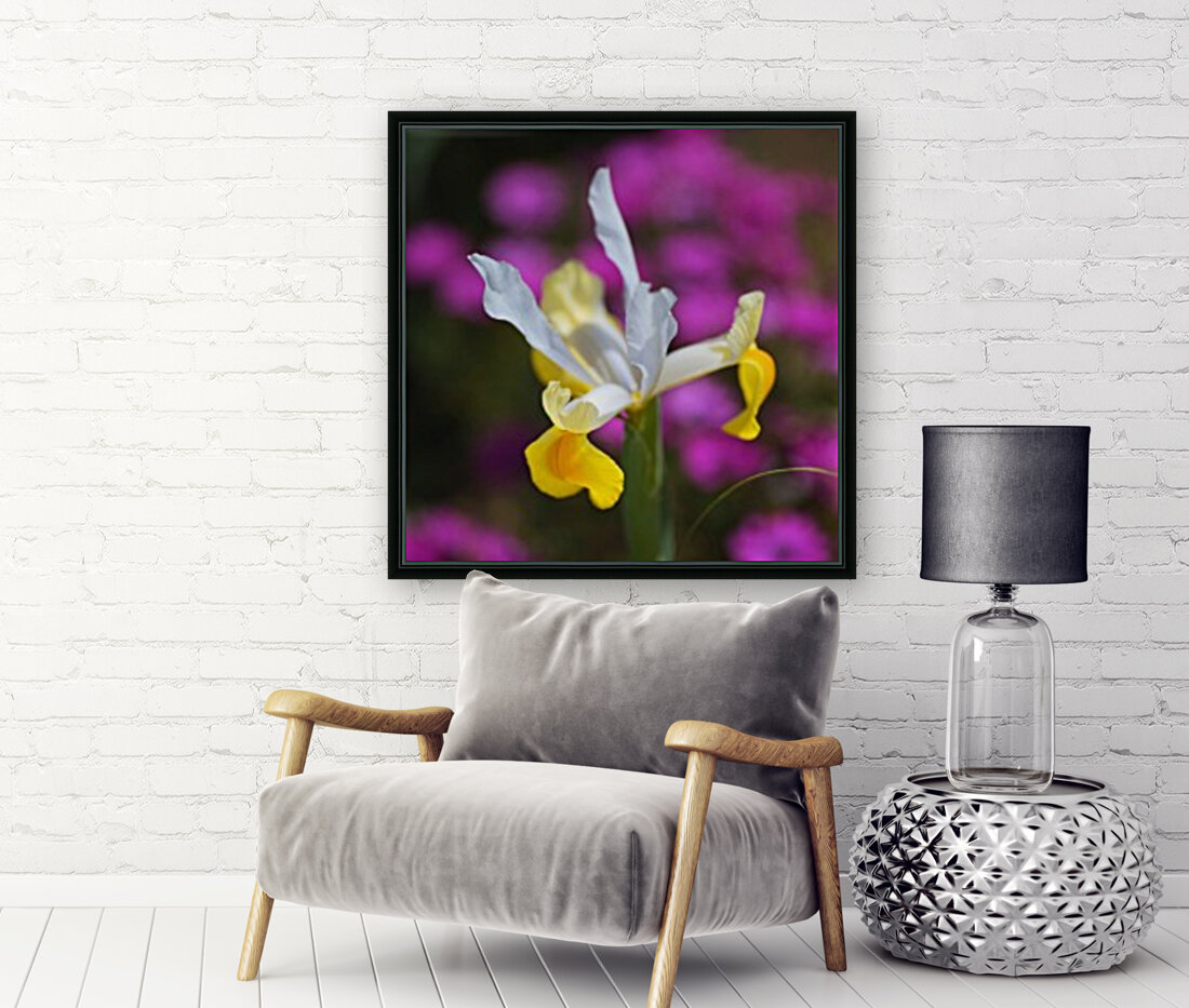 Iris Over Pink Daisies  Reproduction