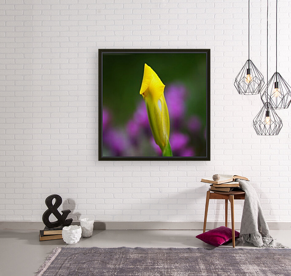 Iris Hope Reproduction