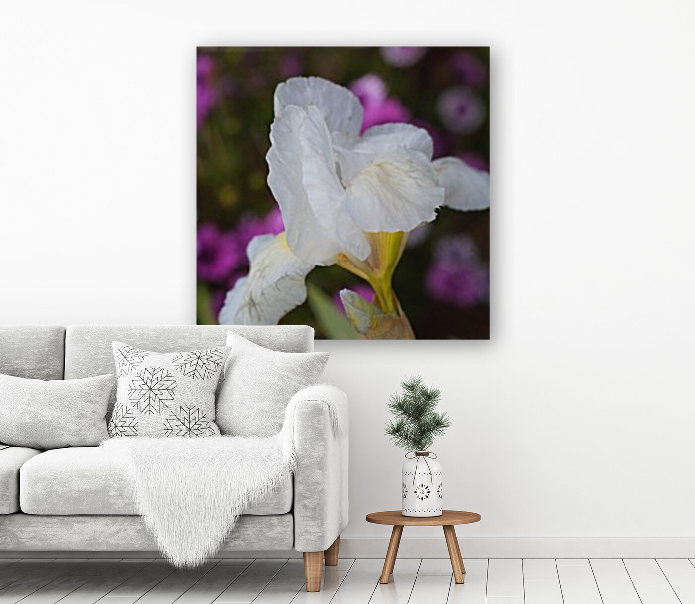 Small White Iris Flower Reproduction