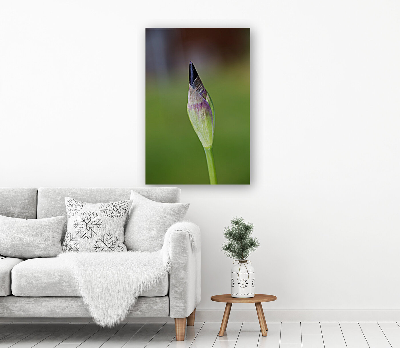 Purple Iris Bud Spring Reproduction