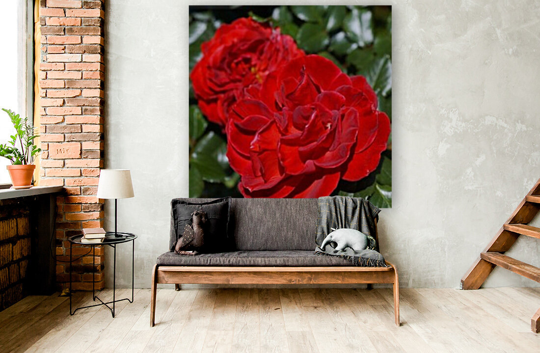 The Two Red Roses Reproduction