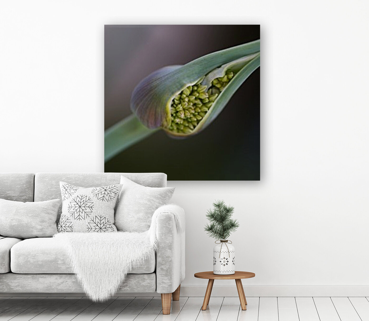 Garlic Bud Spring Reproduction