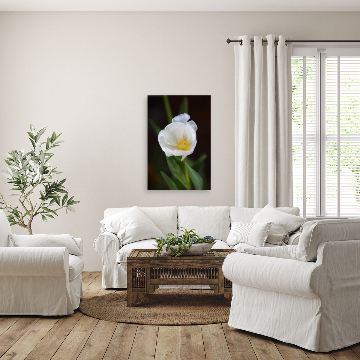 Full White Tulip Reproduction