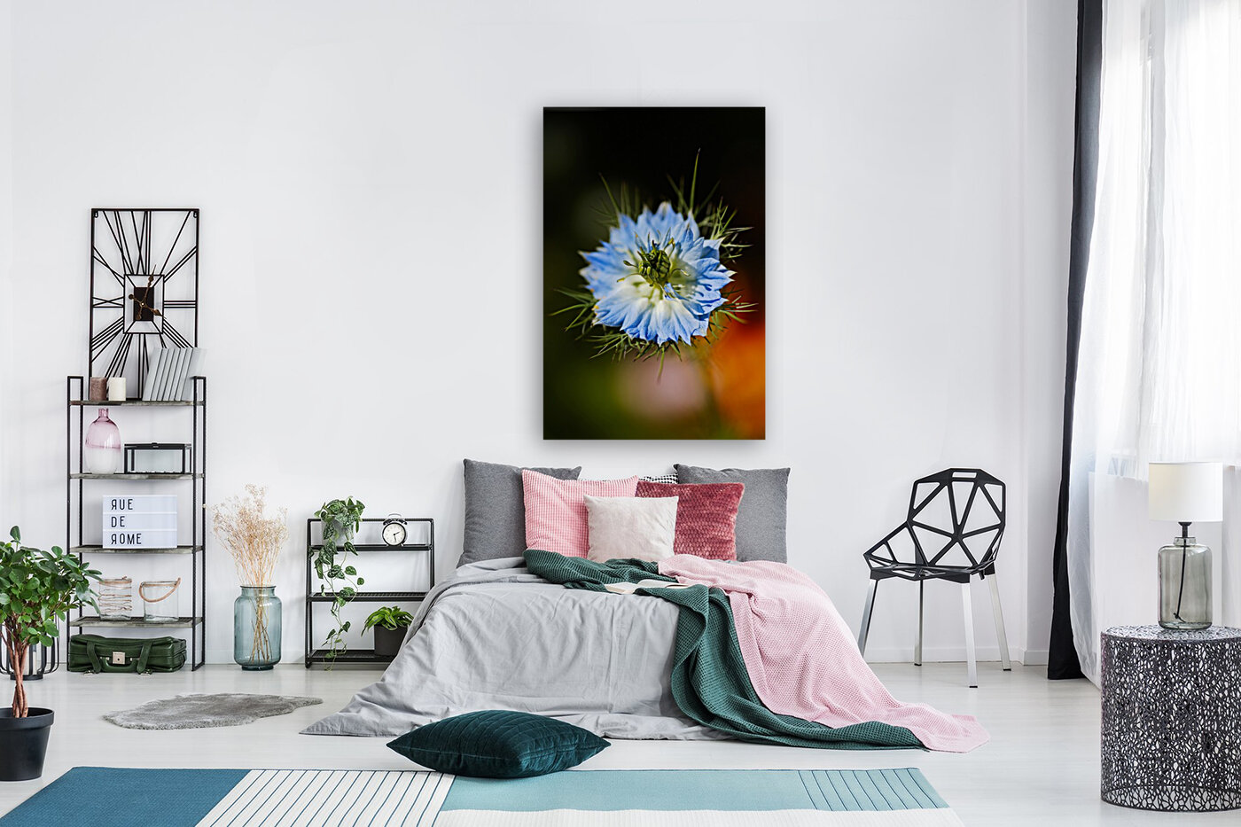 Nigella Flower Reproduction