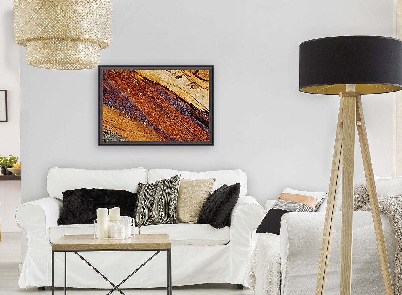 Eucalyptus Tree Natural Layers Reproduction