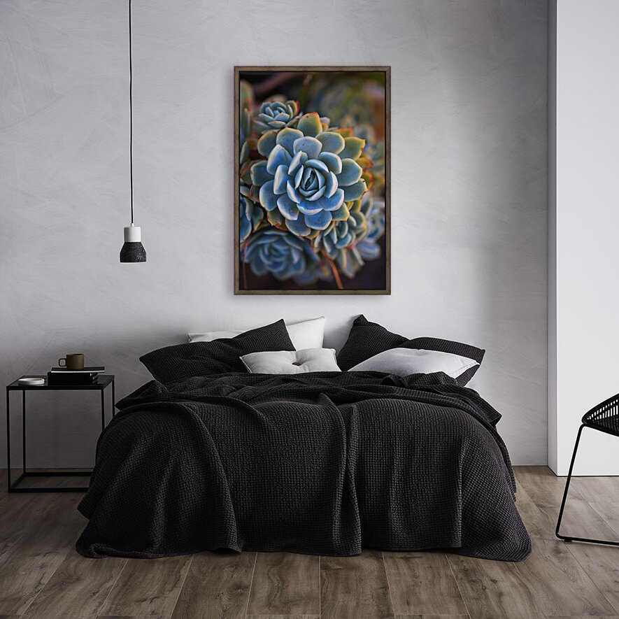 Succulent In Blues Reproduction