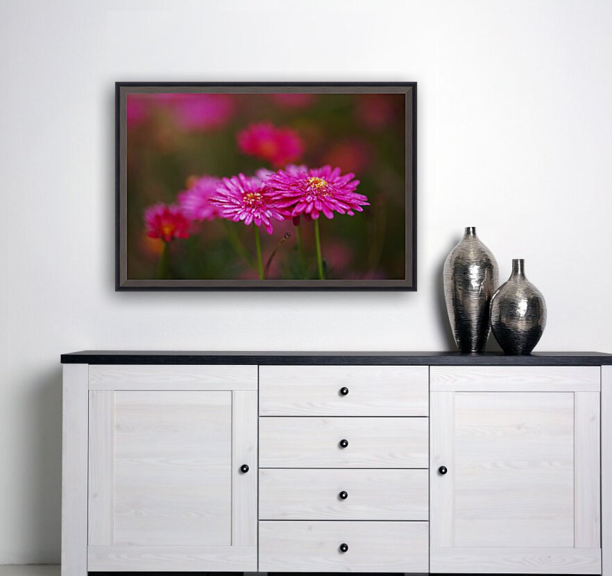 Hot Pinks Double Flower Reproduction