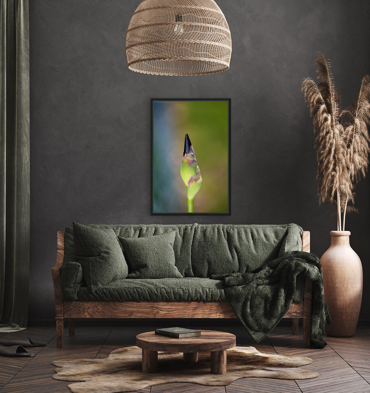 Iris Bud Belly Full  Reproduction
