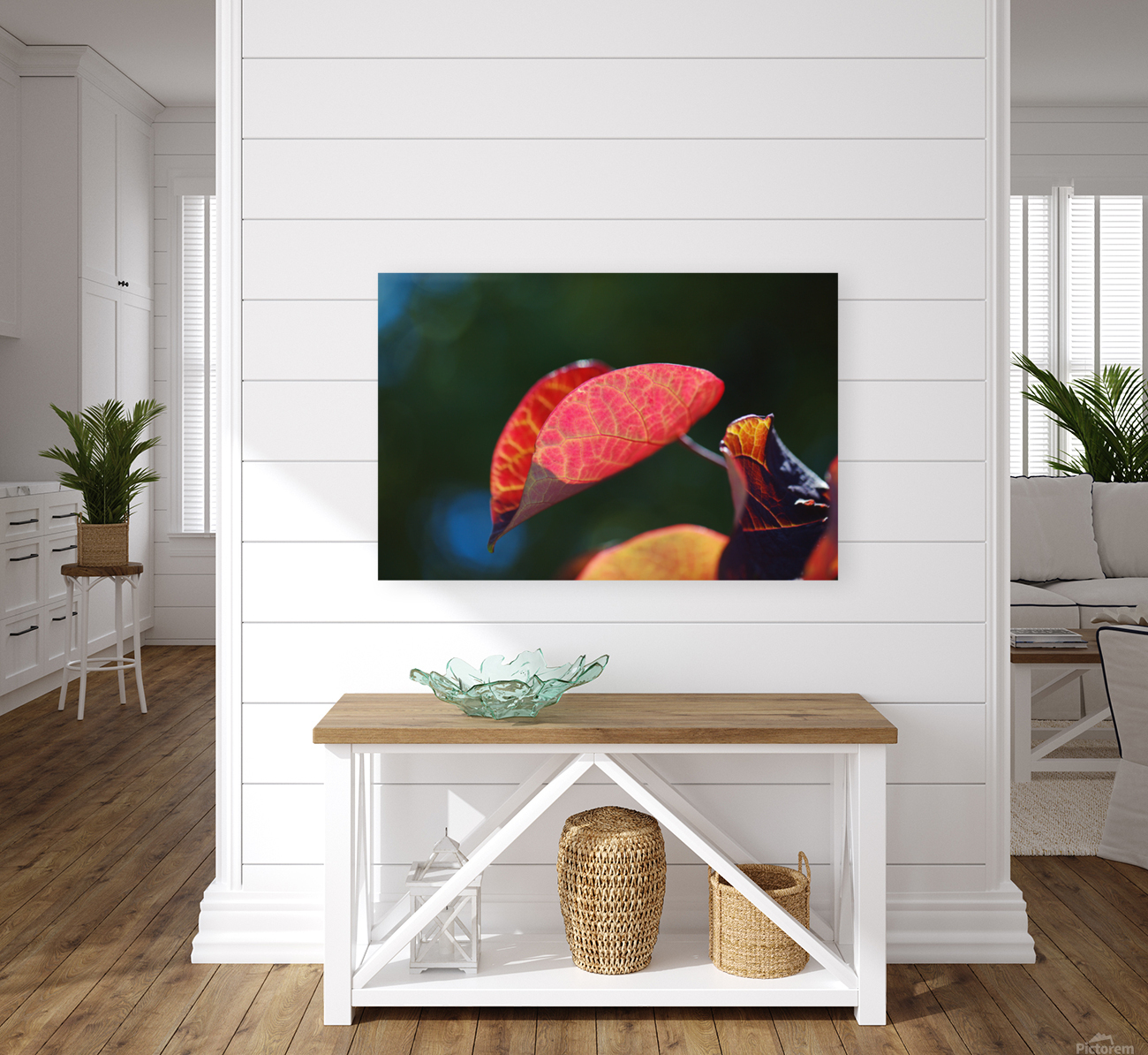 A Red Summer Leaf  Reproduction