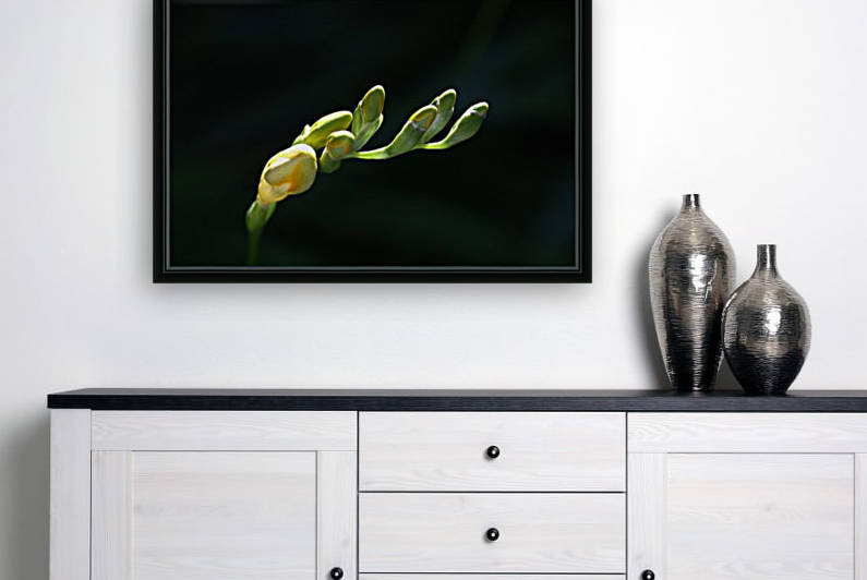 Spring Freesia Fingers  by Joy Watson