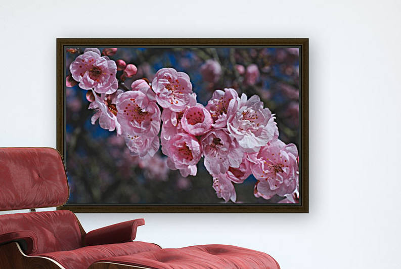 Spring Is Pink Blossom by Joy Watson
