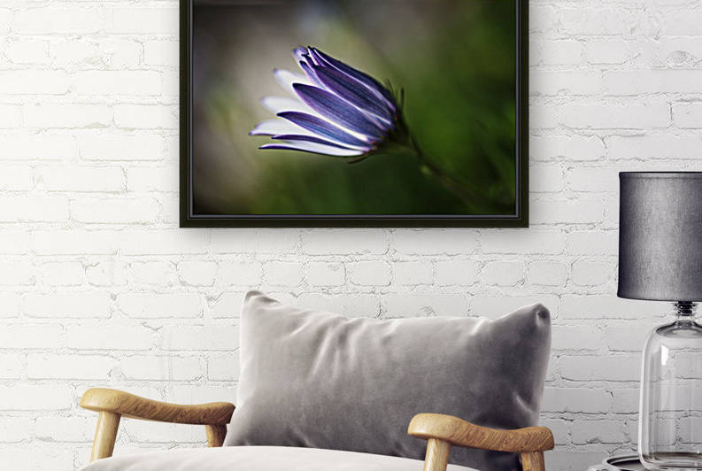 Inner Glow Of Daisy by Joy Watson