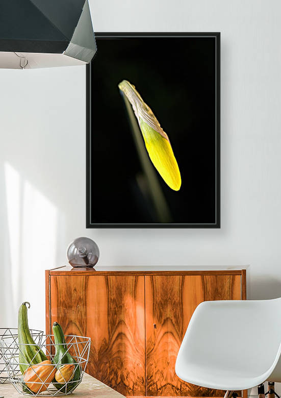 Daffodil by Joy Watson