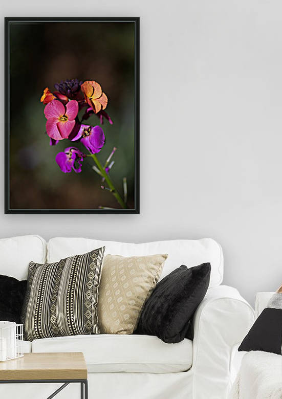 Wallflower by Joy Watson