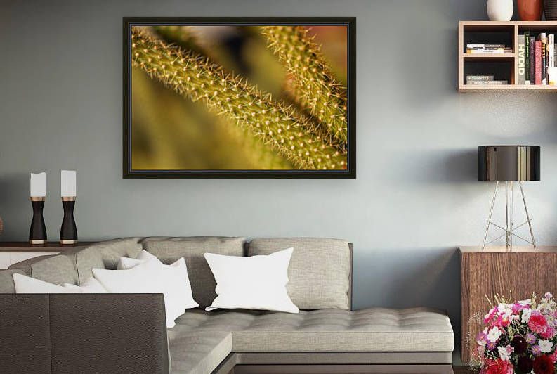 Cactus Spikes by Joy Watson