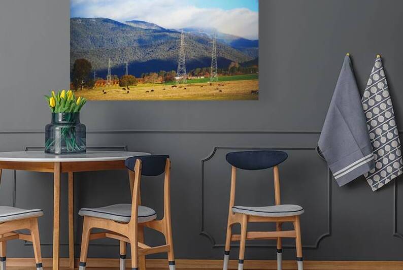 Australias Grazing Land by Joy Watson