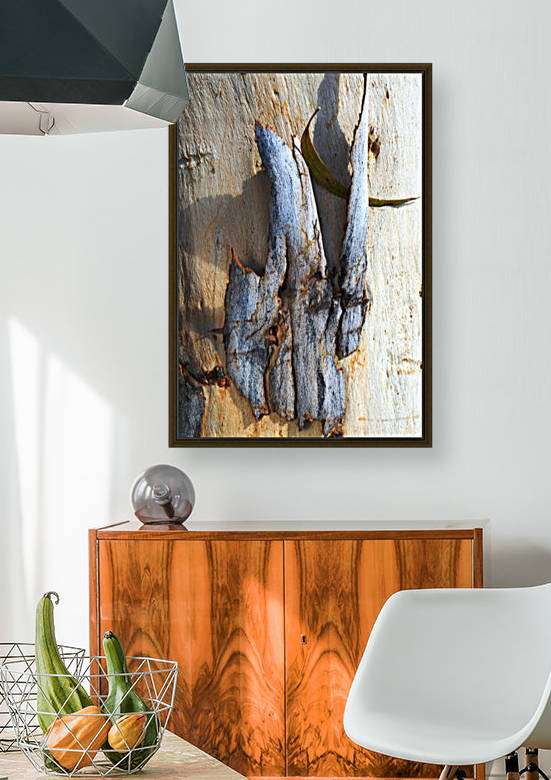 Texture Of Eucalyptus Bark by Joy Watson