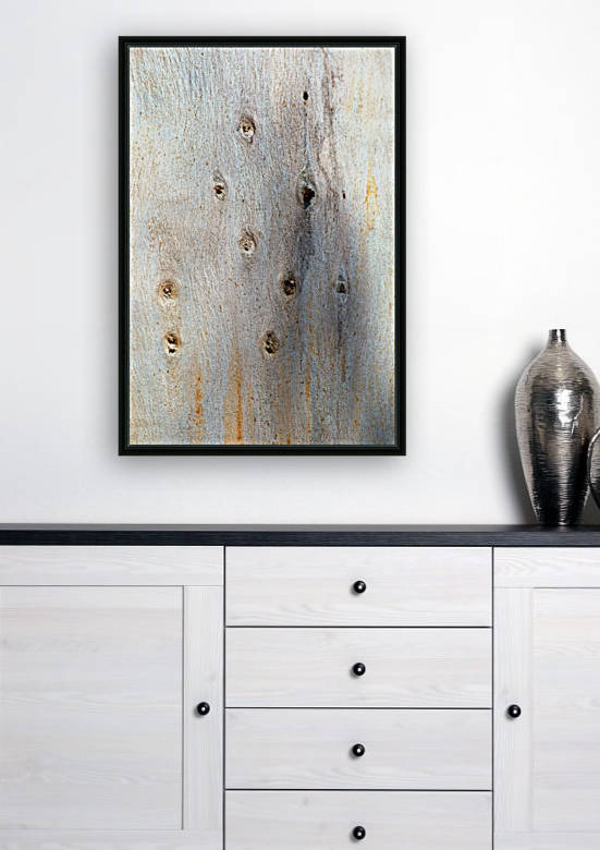 Eucalyptus Trunk Knots by Joy Watson